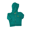 Yellow dinosaur on a teal green hoodie | 0-3M