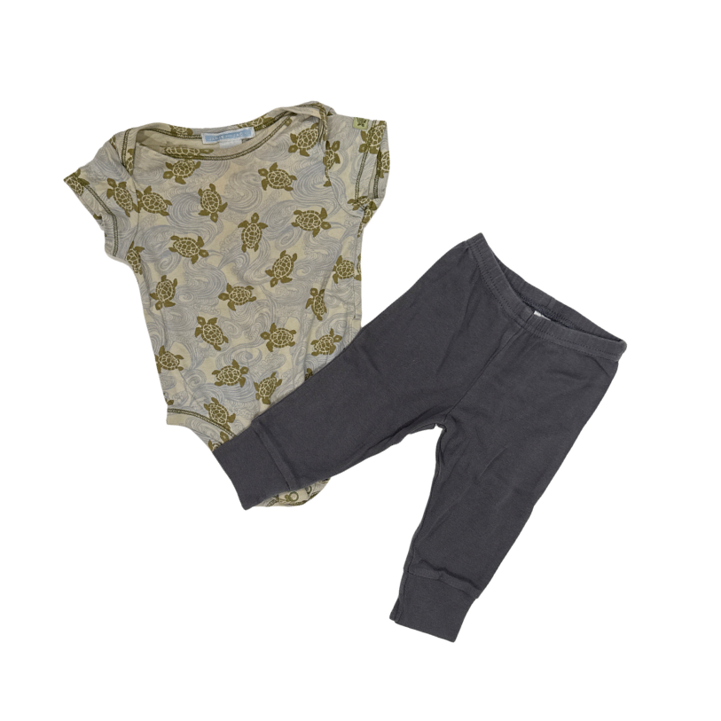 Multi Brands | Set Of 2 | Bodysuit & Leggings | Grey pants & Turtle pattern | 3-6M