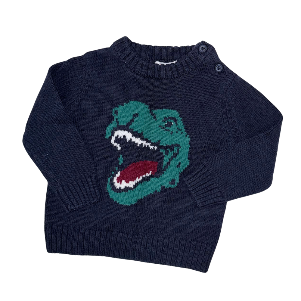 Dino dark blue sweater | 12M