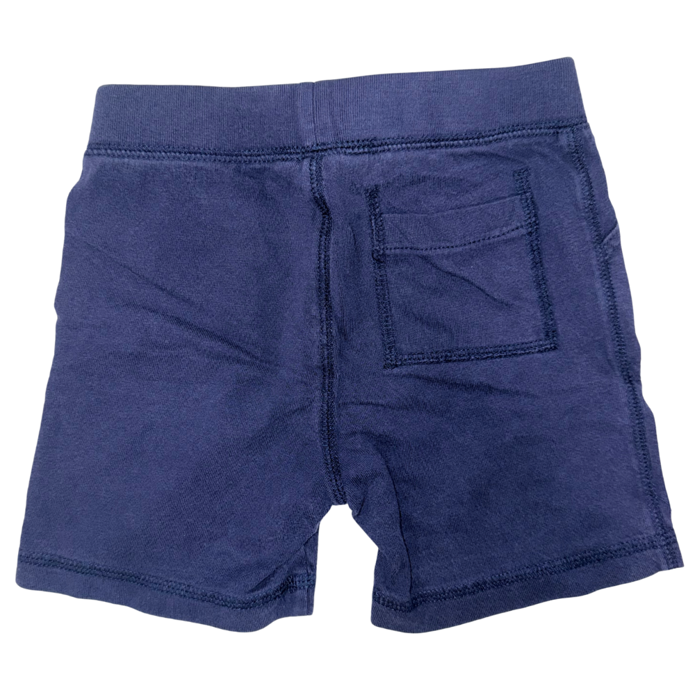 Navy blue shorts | 2T