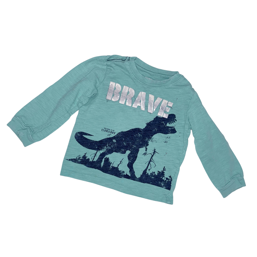 Brave green long-sleeve t-shirt | 18-24M