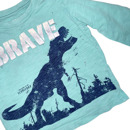 Brave green long-sleeve t-shirt | 18-24M