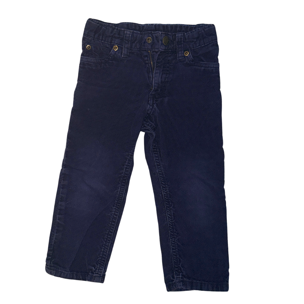 Set of 2 Carter's pants | Aqua & navy | 3T