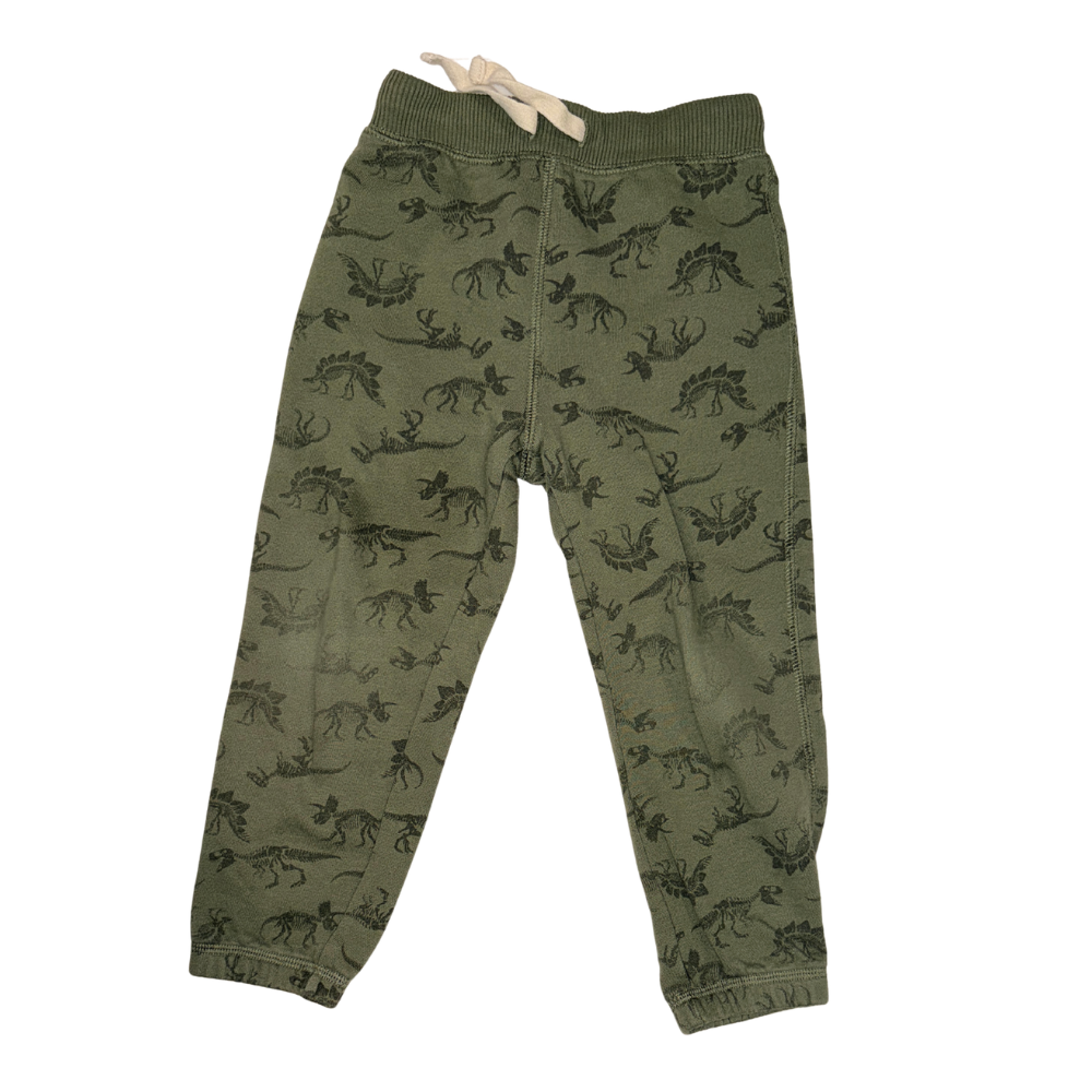 Dino green pattern sweatpants jogger | 3T