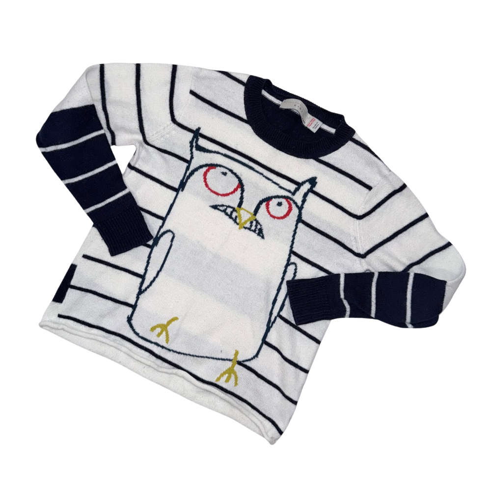 Owl graphic sweater | 4T