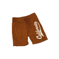 H&M Kids Brown California Print Shorts | 4T