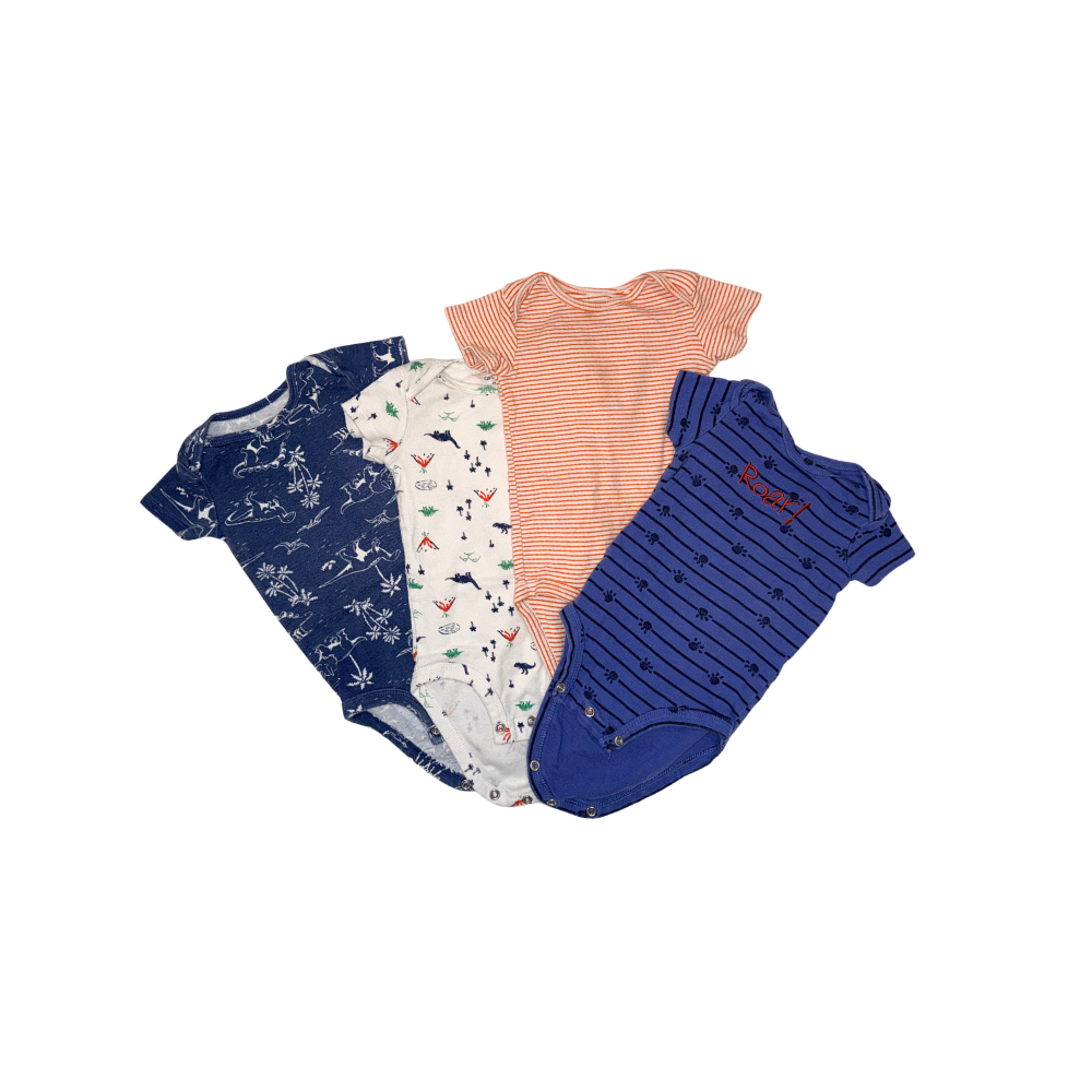 Set of 10 items | 9-12M | Onesies and bodysuits