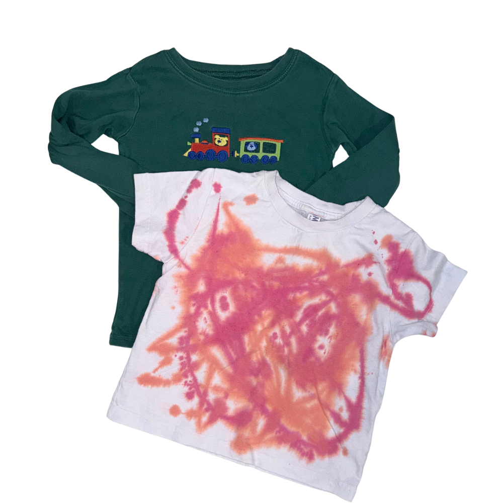 Set of two t-shirts | One short sleeve & one long sleeve | 4T