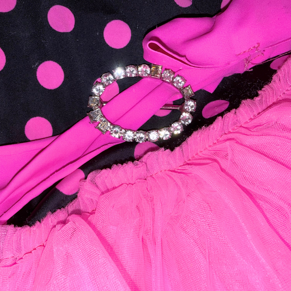 Set of two dresses | Blue & pink | Ballerina style | 5T