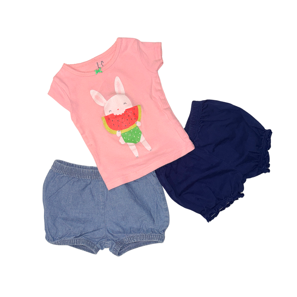 Set of 2 shorts & 1 short-sleeve t-shirt | 12M