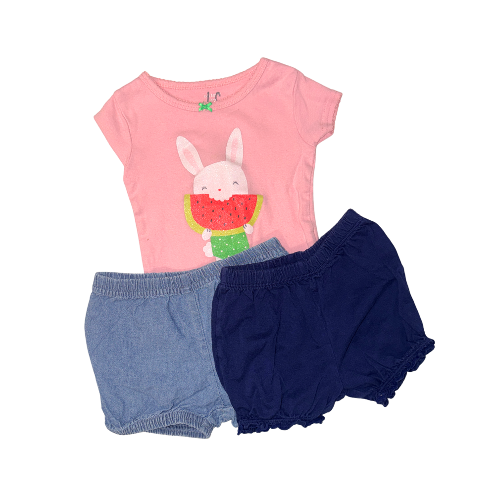Set of 2 shorts & 1 short-sleeve t-shirt | 12M